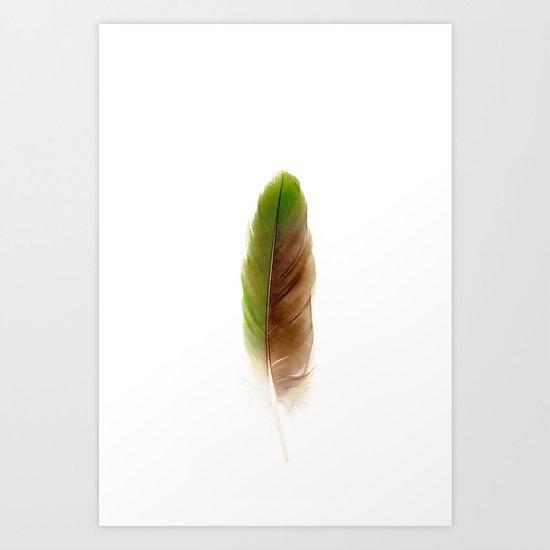 Green Parrot Feather Art Print