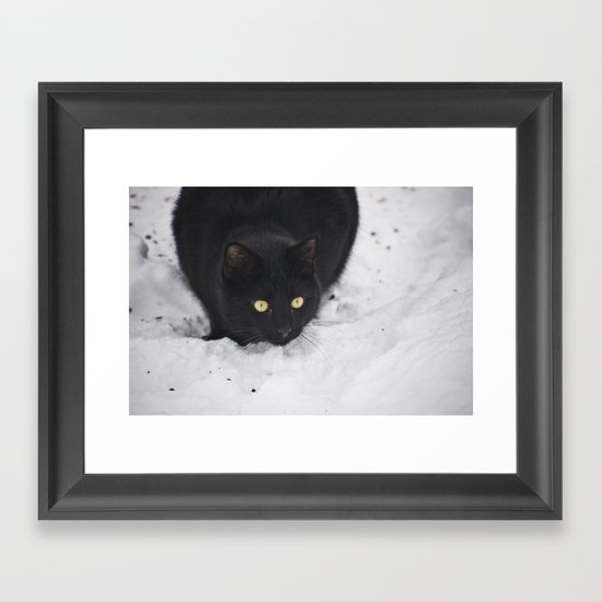Black cat in a snow Framed Art Print