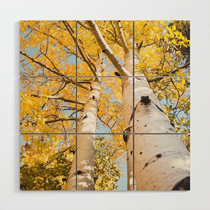 Autumn Yellow Fall Trees Wood Wall Art