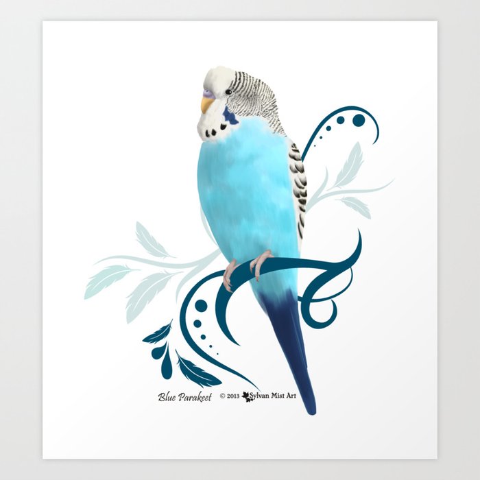 Blue Parakeet Art Print By Sylvan Mist Art Society6