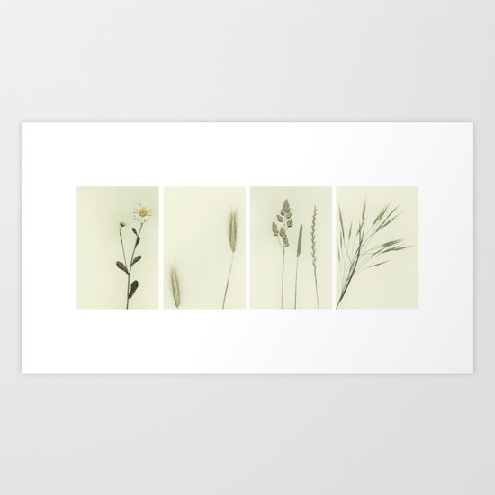 Nature ~ collage Art Print