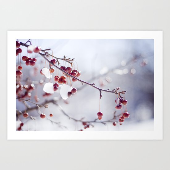 Cherries In Winter Art Print