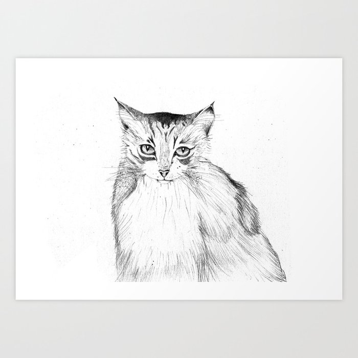 Spot the Cat Art Print