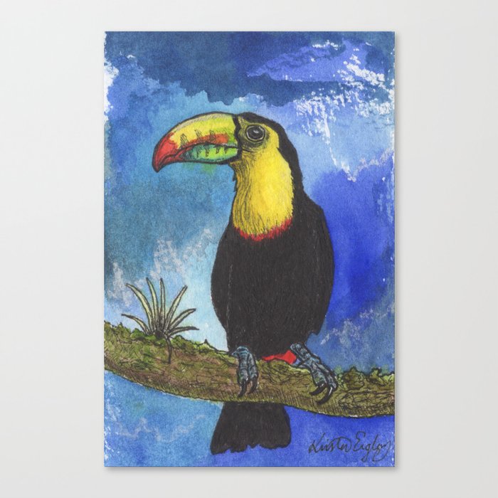 Toucan Canvas Print