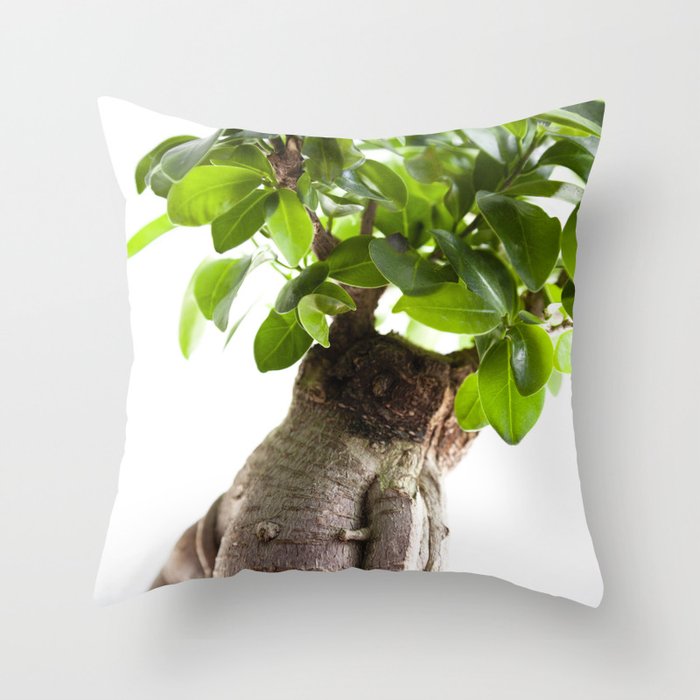Ginseng Ficus The Houseplant Collection Throw Pillow By Christiois