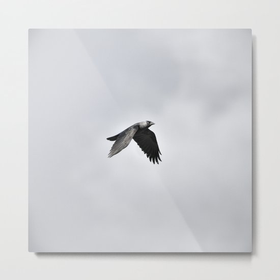 the crow Metal Print