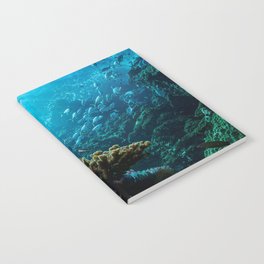 sea life Notebook