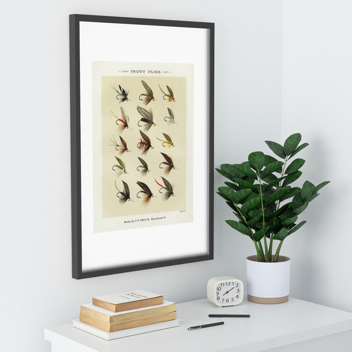 Vintage Fly Fishing Print - Trout Flies Recessed Framed Print by SFT