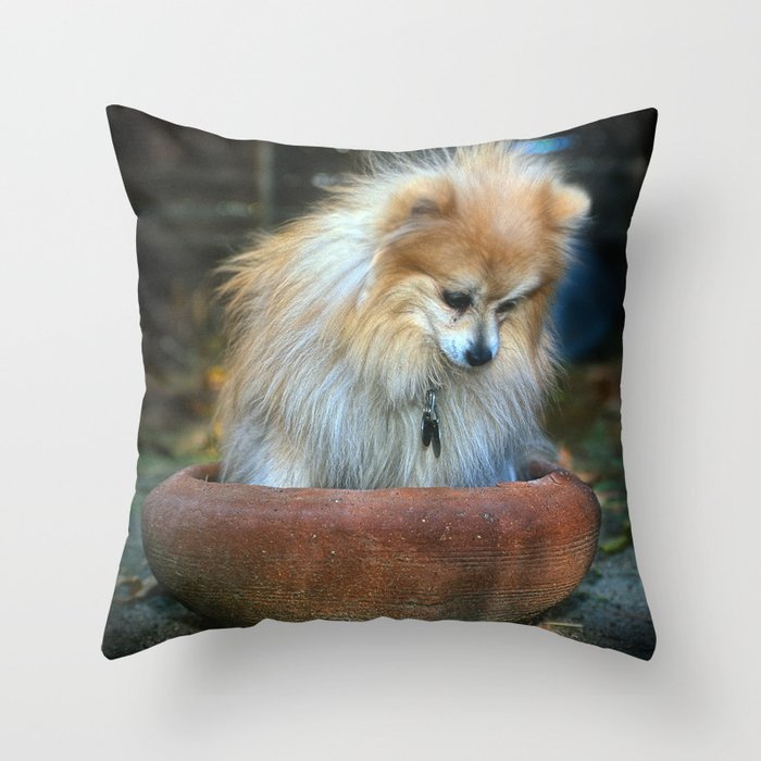 Fluffy puppy deals throw pillow