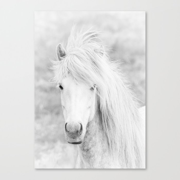 Wild Free White Horse Animal Wall Art Horse Wall Art Horse