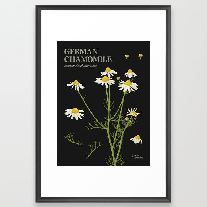 Botanical German Chamomile (Black) Framed Art Print