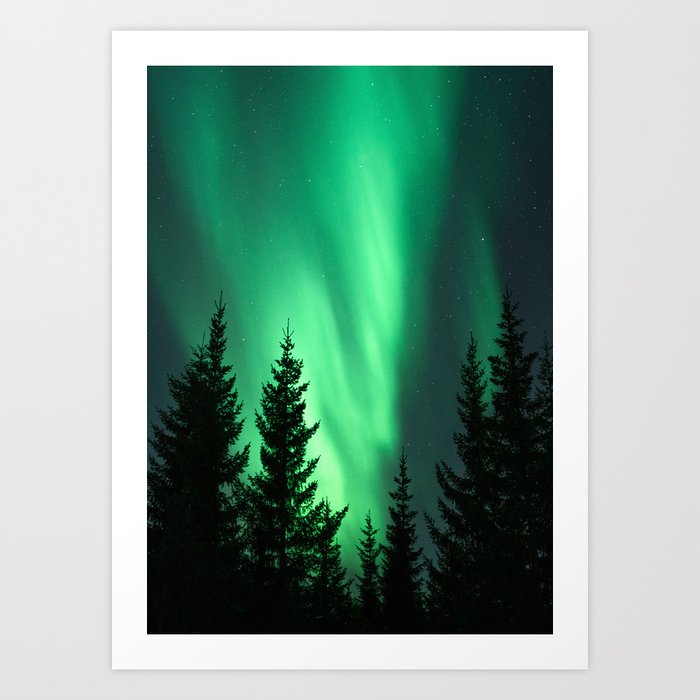 Northern Lights in the Woods Photo | Aurora Borealis in Norway Nature Art Print | Colorful Night Travel Photography Art Print