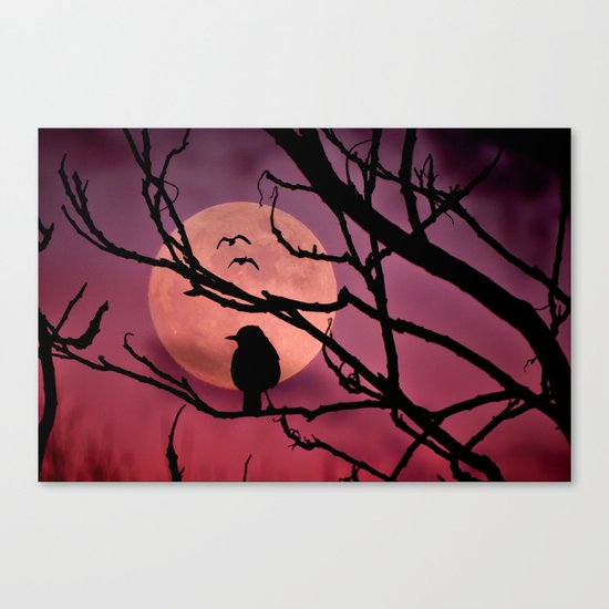 Moonlit dusk Canvas Print