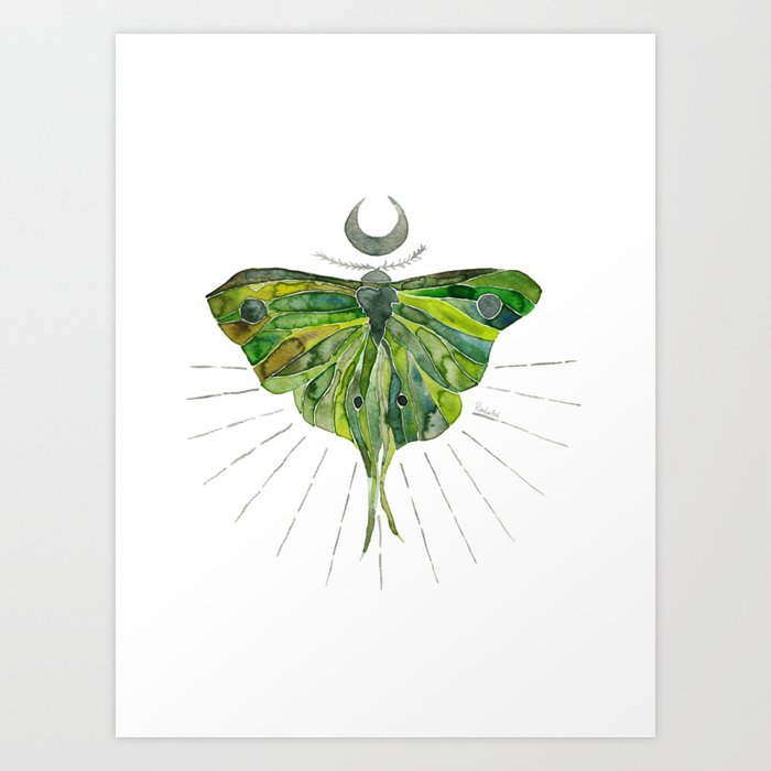 Luna moth Art Print