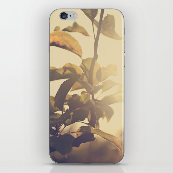 Fall Sun iPhone & iPod Skin