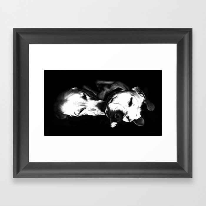 Sweet Dreams - Black And White Dog Art Framed Art Print