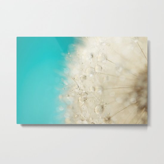 Dandy Blues Metal Print
