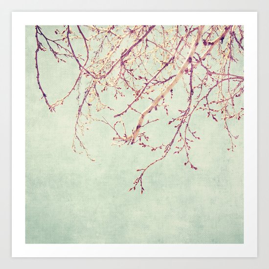 Chinese Spring Art Print