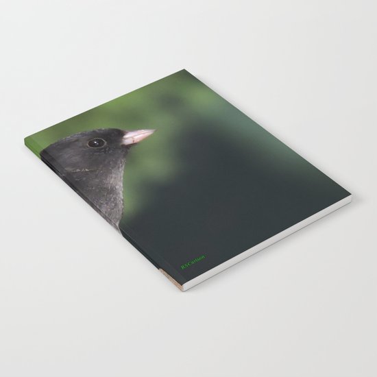 Dark-Eyed Junco Notebook
