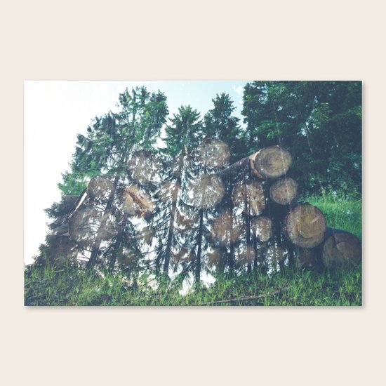 Wild Canvas Print