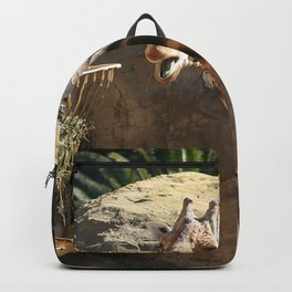 Baringo Giraffe Backpack | Neck, Herbivore, Zoo, Baringo, Savanna, Santabarbara, Tall, Wildlife, Digital, Africa 
