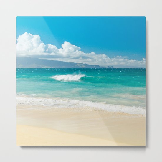 Hawaii Beach Treasures Metal Print