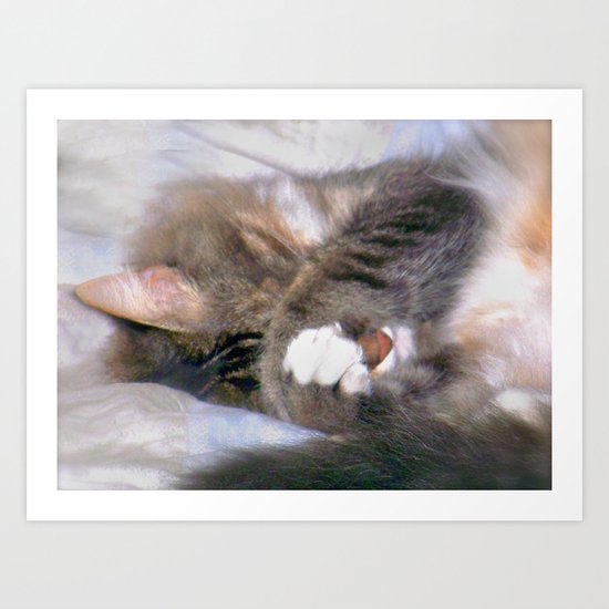 My Cat Actually Sleeps This Way Art Print