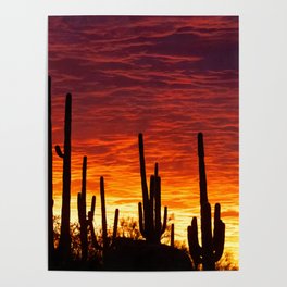 Tucson Mountain Park Sunset Poster