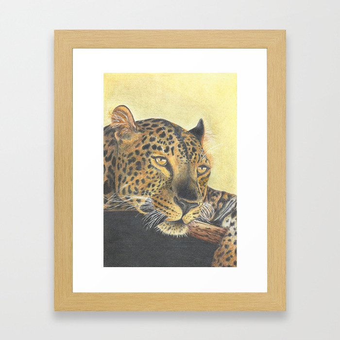 Colored pencil drawing of leopard - wildlife artwork Framed Art Print