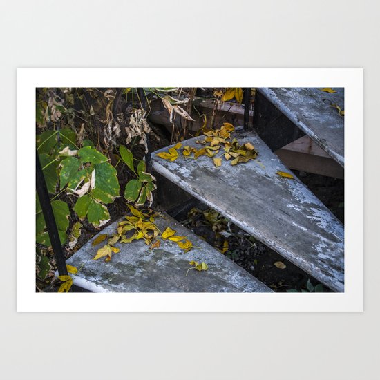 Autumn Steps Art Print