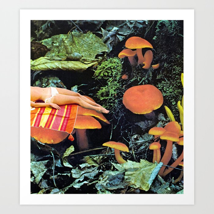 Discover the motif MUSHROOMS by Beth Hoeckel as a print at TOPPOSTER