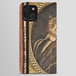 Cat in picture frame, cute, pretty, beautiful, cuddly kitten, loveable.  iPhone Wallet Case