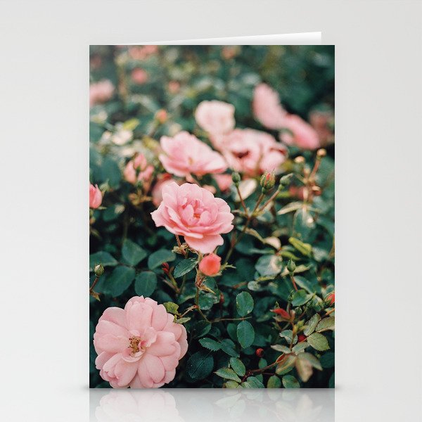 Dreamy wild pink roses on film Stationery Cards