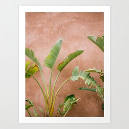 Palms of Ourika Morocco | Pastel Travel Photography Marrakech Art Print