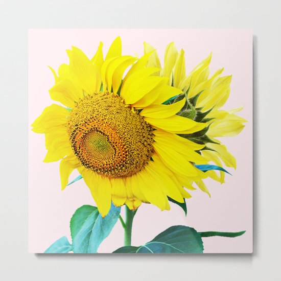 Sun Flowers #society6 #decor #buyart Metal Print