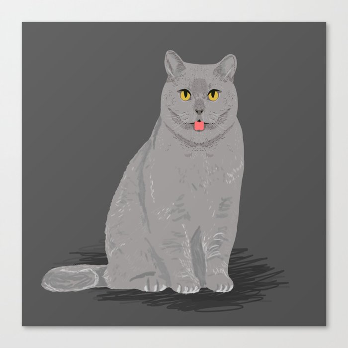 Grey Cat Egyptian Mau Cute Meme Cat Funny Grey Cat Breed Cat Lady