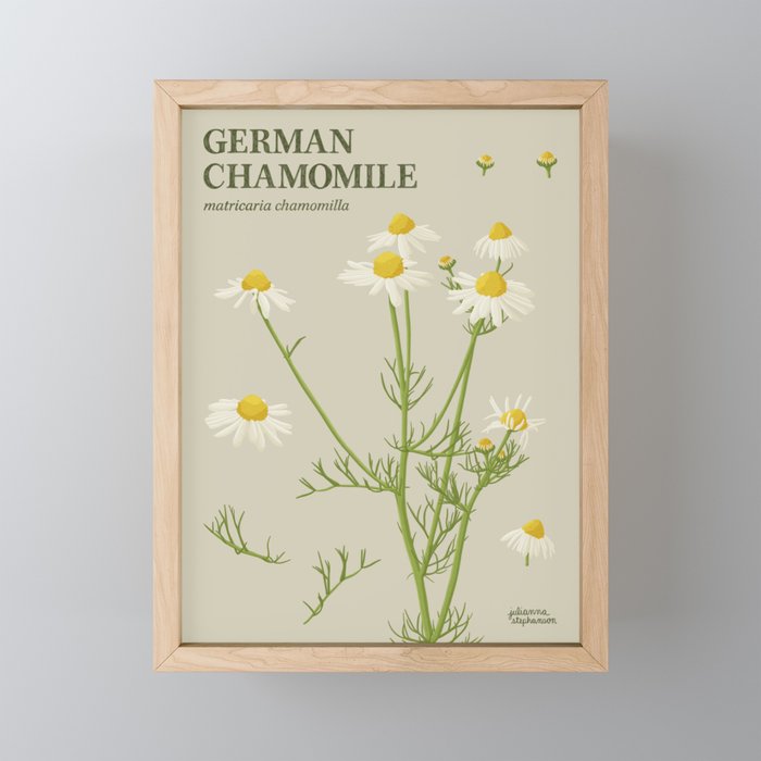 Botanical German Chamomile Framed Mini Art Print