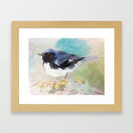 black-throated blue warbler Framed Art Print