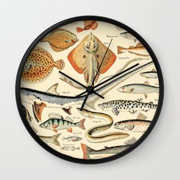 Vintage Fish Diagram // Poissons by Adolphe Millot 19th Century Science Textbook Artwork Wall Clock