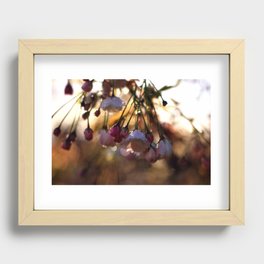 Catch the Morning Light Recessed Framed Print