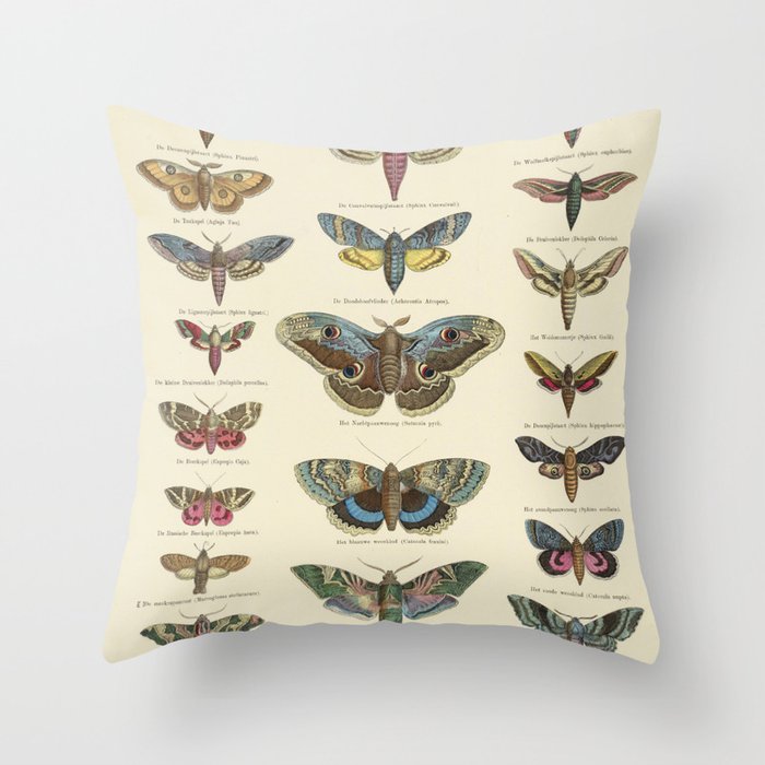 Moths - Ernst Fröhlich, 1843 - c. 1920 Throw Pillow