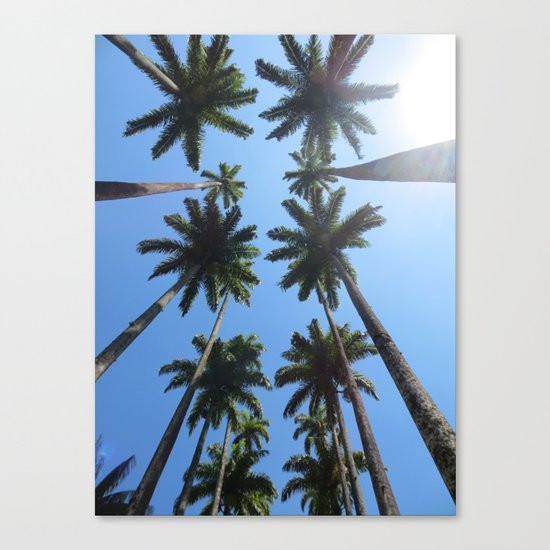 California Palm Trees Canvas Print