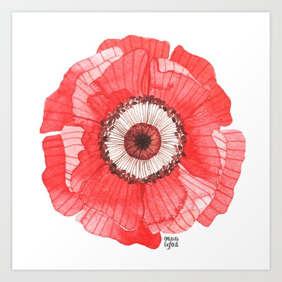 Red Poppy Art Print