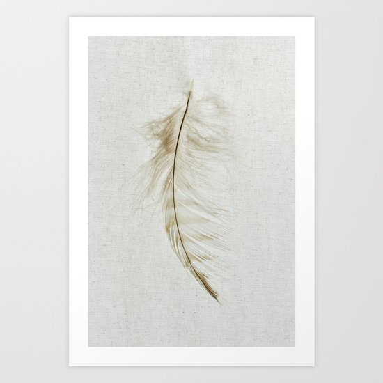 Owl Feather Photograph - Fleeting Art Print