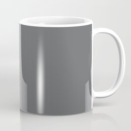 Gray Boulder Mug