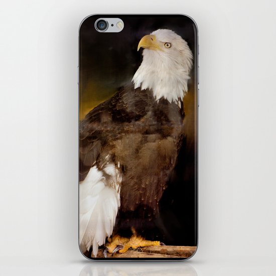 American Eagle iPhone & iPod Skin