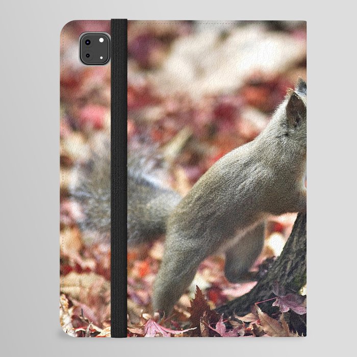 Very Curious Squirrel iPad Folio Case