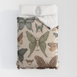 Butterflies and Moth Specimens Comforter