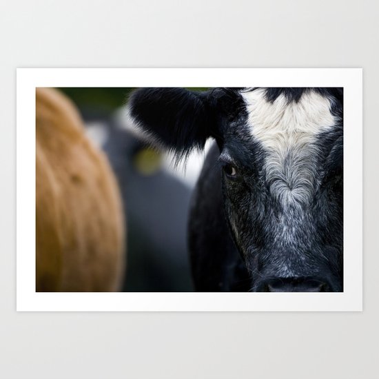BLACK AND WHITE COW Art Print