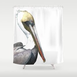 Pelican Portrait Shower Curtain